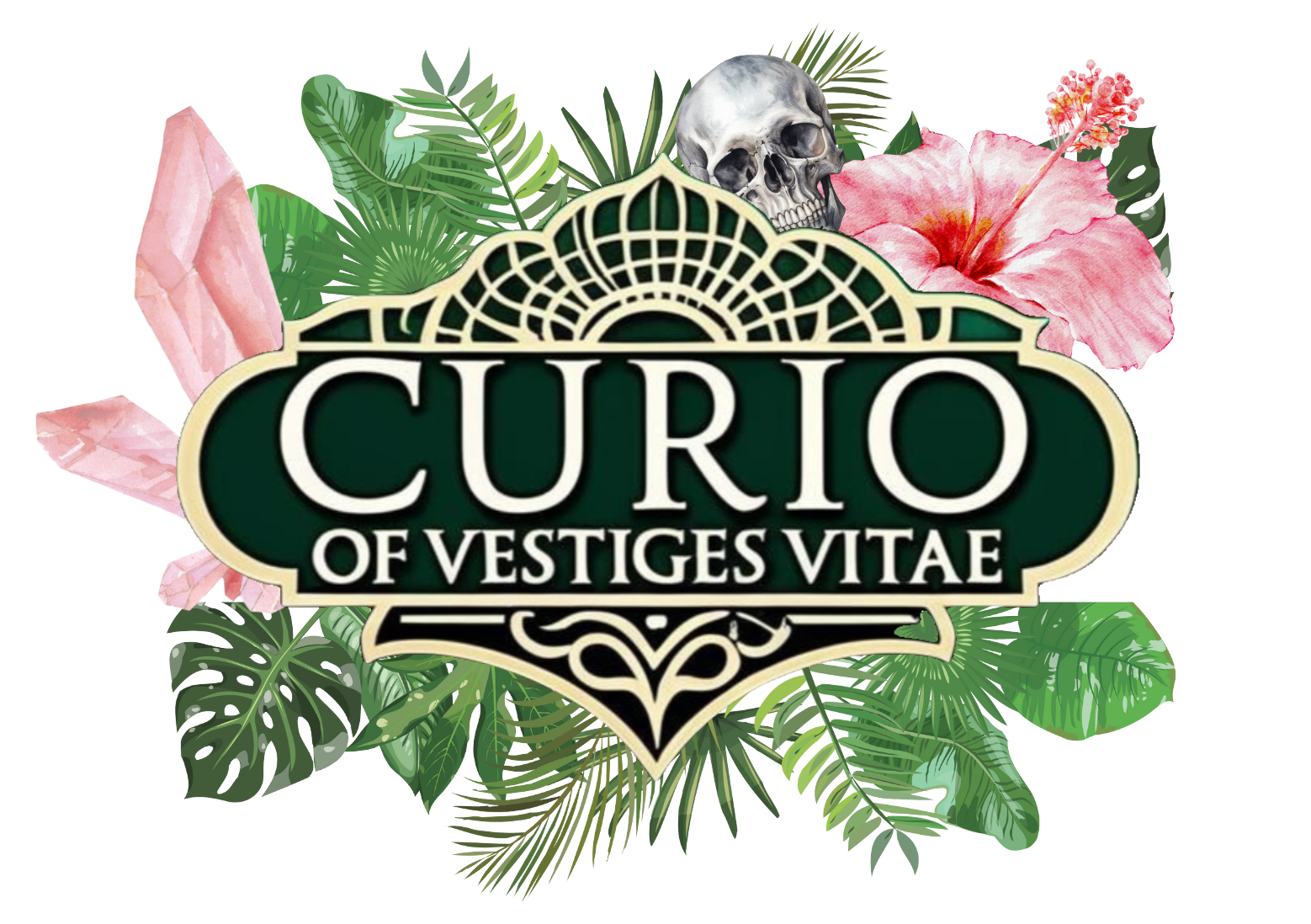 Curio of Vestiges Vitae